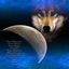   moon_light