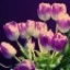   impertinente_fleur
