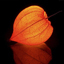   Physalis