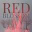 RedBlossom