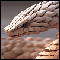 Персиковая змея